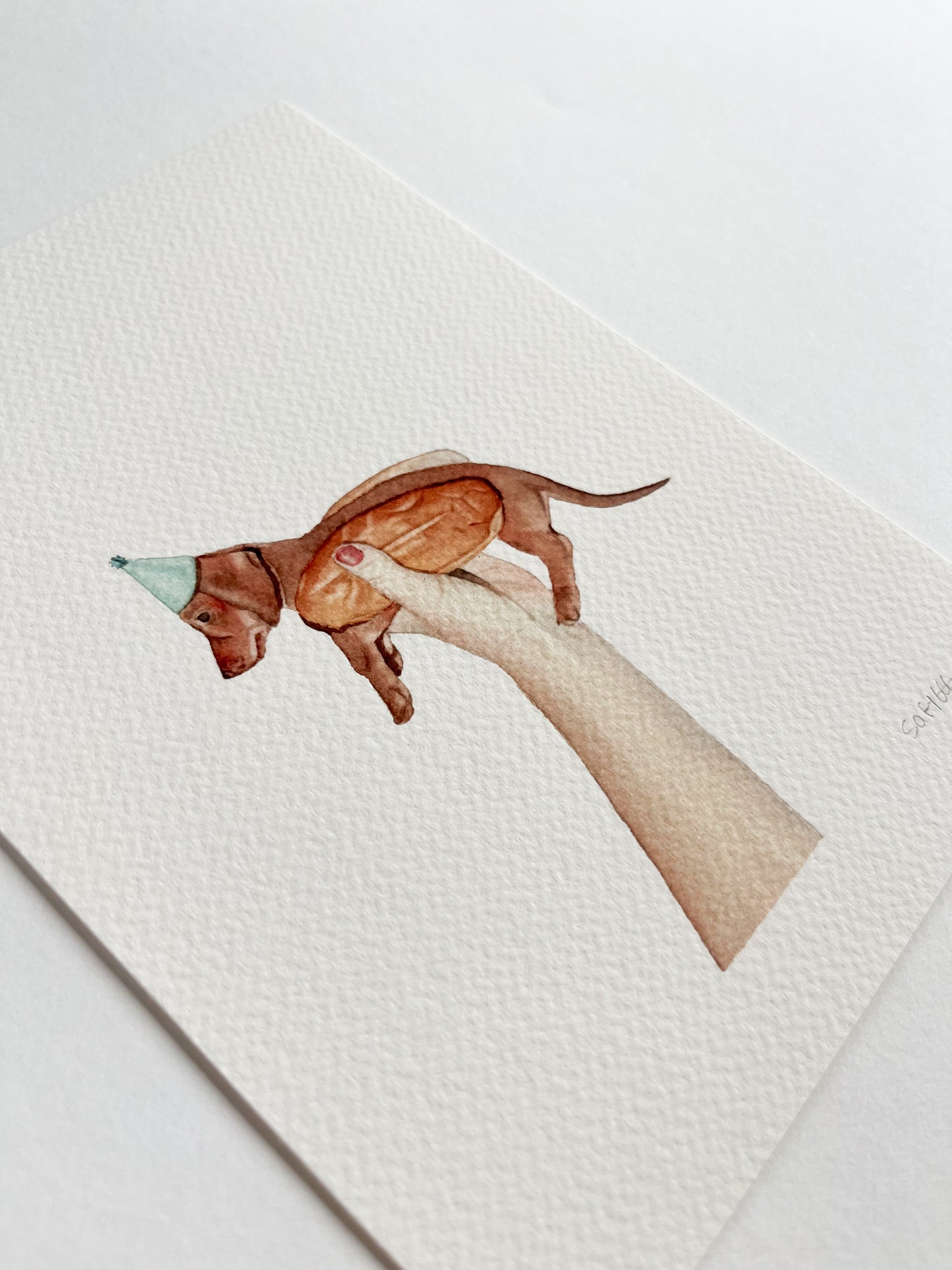 perro salchicha print