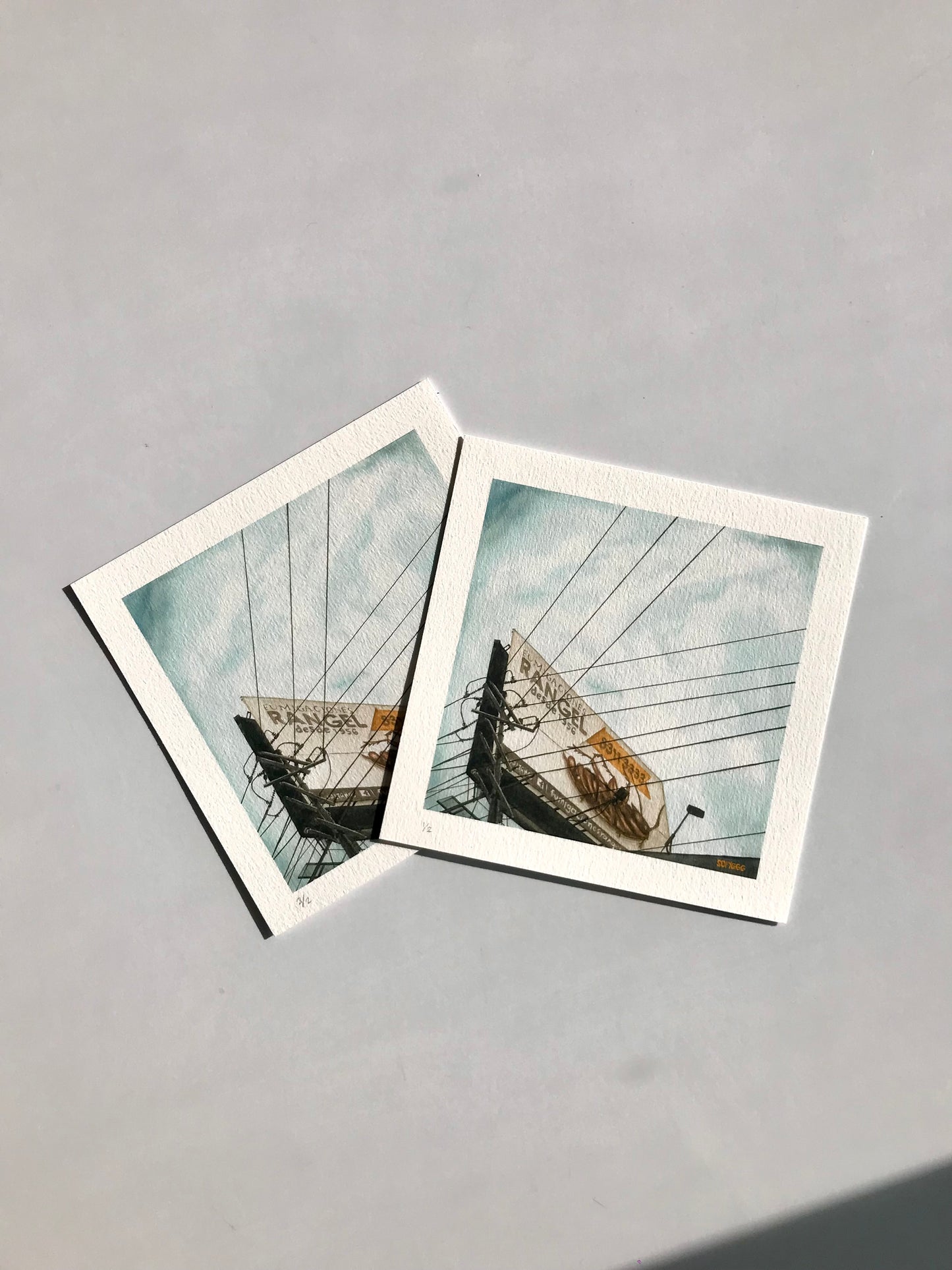 Fumigaciones Rangel print