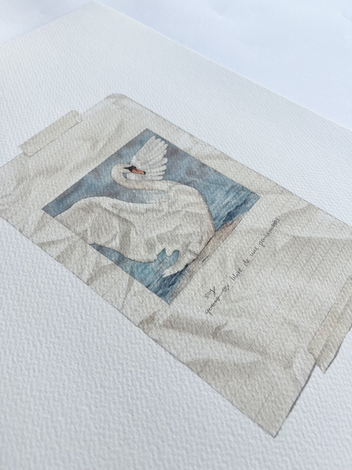 cisne negro print