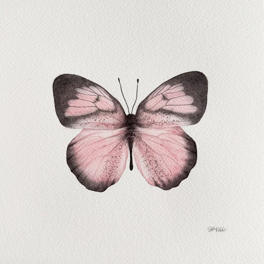 mariposa