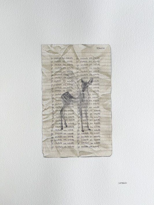 deer in the headlights